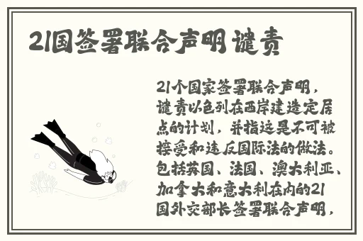 国产91精品久久久久久ab